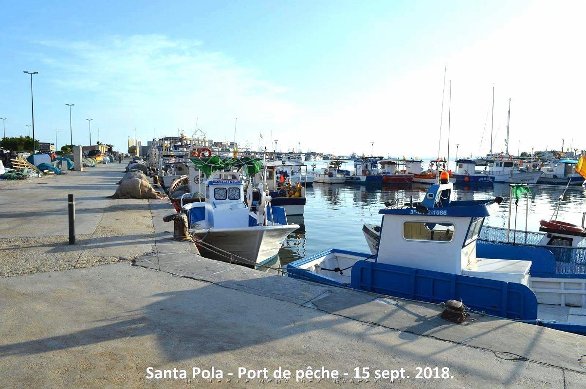 11 SANTA POLA PORT DE PECHE (20).JPG